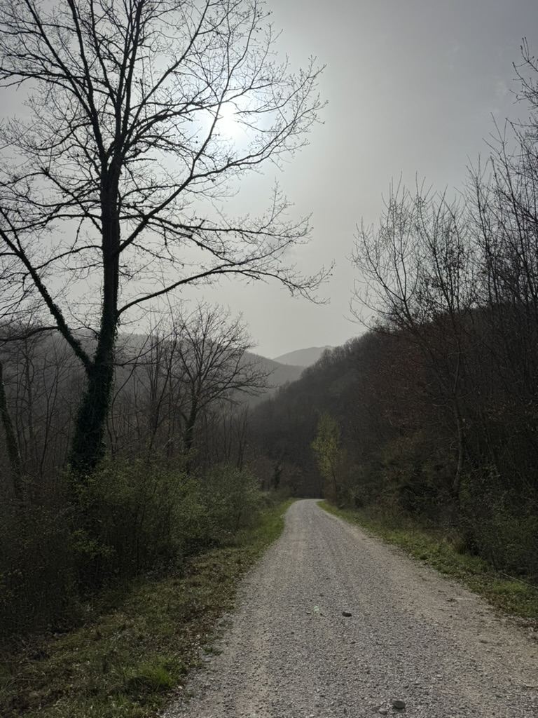 A gravel track through the countryside toward the hills