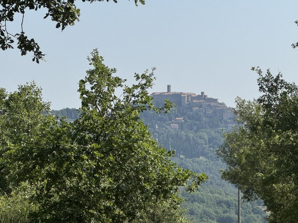 Monte Santa Maria Tiberina hilltop village seen through oak branches